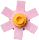 Floating Blossom