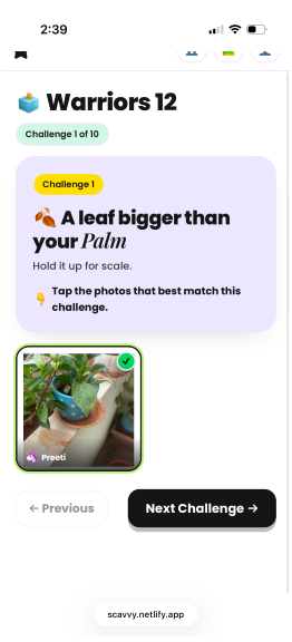 Voting on a single challenge, one photo at a time